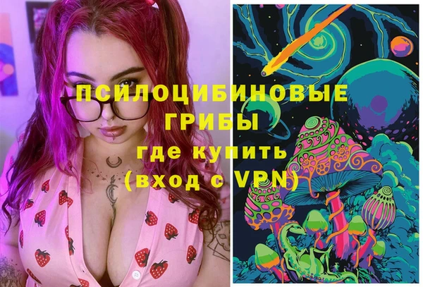 бошки Вяземский