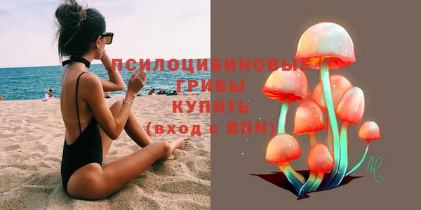 бошки Вяземский