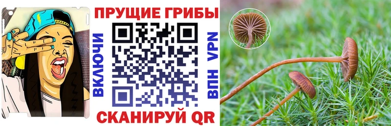 Галлюциногенные грибы Cubensis  Малаховка 